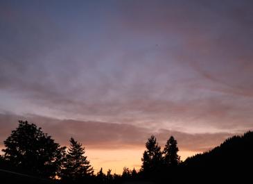 August Sunset (2025)